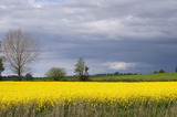 Ferienwohnung in Dahme - Seeschwalbe - Bild 9