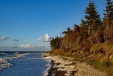 Ferienwohnung in Graal-Müritz - Stranddistel - Bild 18