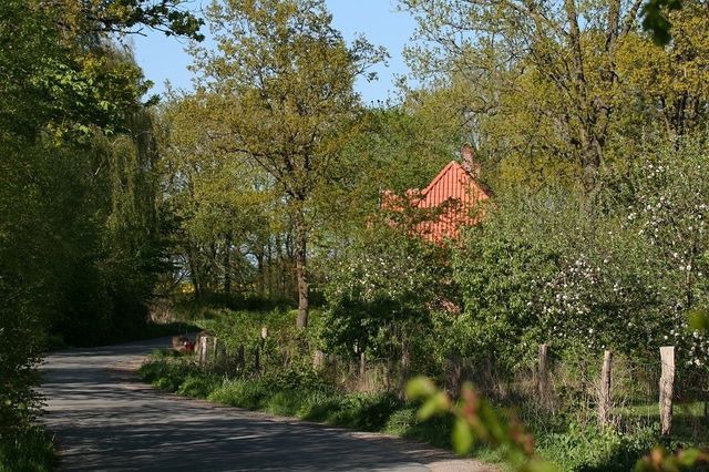 Ferienwohnung in Schashagen - Bellevue rechts - Bild 7