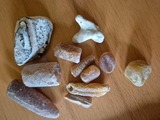 Ferienwohnung in Fehmarn - Ferienwohnung Wildblume - Bild 20
