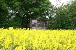 Wagen am Rande der Welt