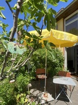 Ferienhaus in Barth - Studio Vineta - Bild 13