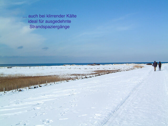 Ferienwohnung in Wendtorf - Ap. Lachm&ouml;we - Haus Nordlichter - Bild 24