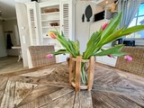 Ferienwohnung in Zingst - Magister Wigbold 1.1 - Bild 15
