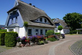 Ferienhaus in Ostseeheilbad Zingst - Kranich - Bild 1