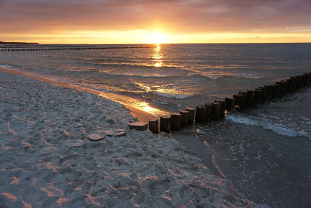 Ferienhaus in Ostseeheilbad Zingst - Kranich - Bild 12