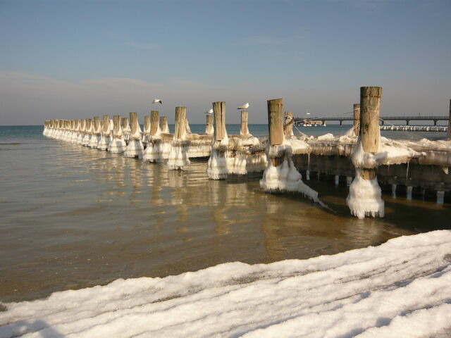 Ferienhaus in Zingst - SONDERPREISE Juni/ September 2025 --- beliebtes FH "Möwe" - nur 2 Minuten vom Strand... WLAN inklusive... - Bild 24