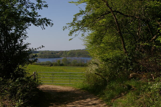 Ferienwohnung in Klein Wittensee - Witt am See - Bild 19