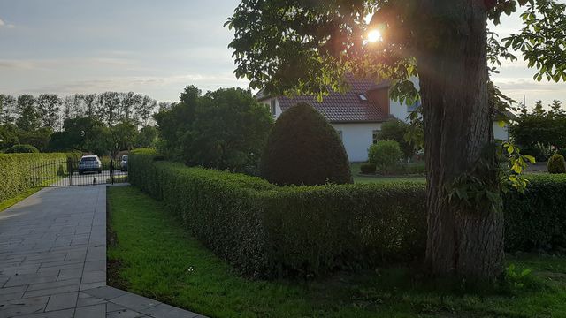 Ferienwohnung in Dolgen am See OT Sabel - Ferienwohnung im Zanderhaus - Bild 12