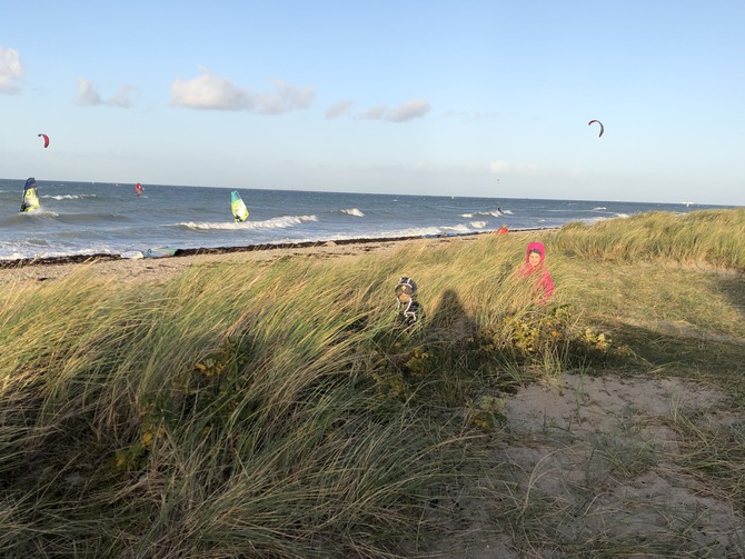 Ferienhaus in Fehmarn OT Gammendorf - Ferienhof Micheel - Gammendorfer Strand