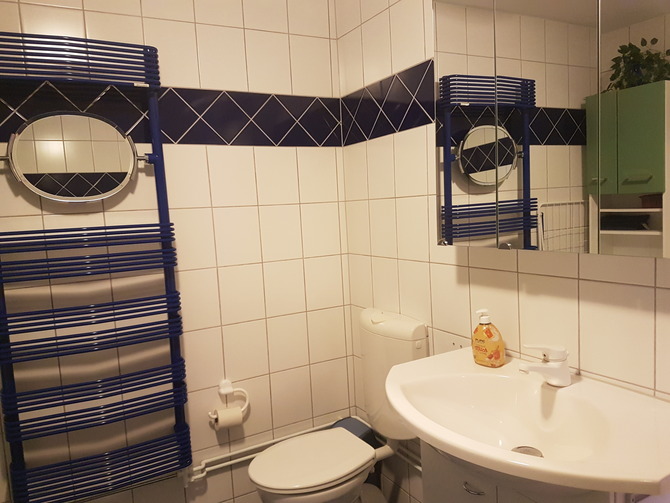 Ferienwohnung in Duvendiek - Ferienwohnung Storchenhof - Badezimmer