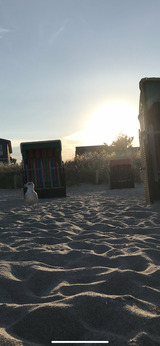 Ferienwohnung in Haffkrug - Ferienwohnung Strandweh - Bild 15