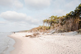 Ferienwohnung in Ahrenshoop - Strandjuwel 2 - Bild 8