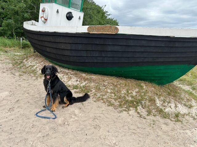 Ferienwohnung in Zingst - Sehnsuchtsort - Bild 21