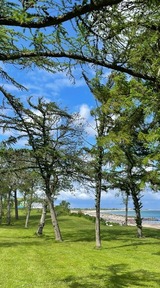 Ferienwohnung in Brodersby - Ferien am Strand, Urlaub an der Ostsee Ferienwohnung am Strand in der Nähe der Schlei, Umgebung von Kappeln u. Damp - Bild 17