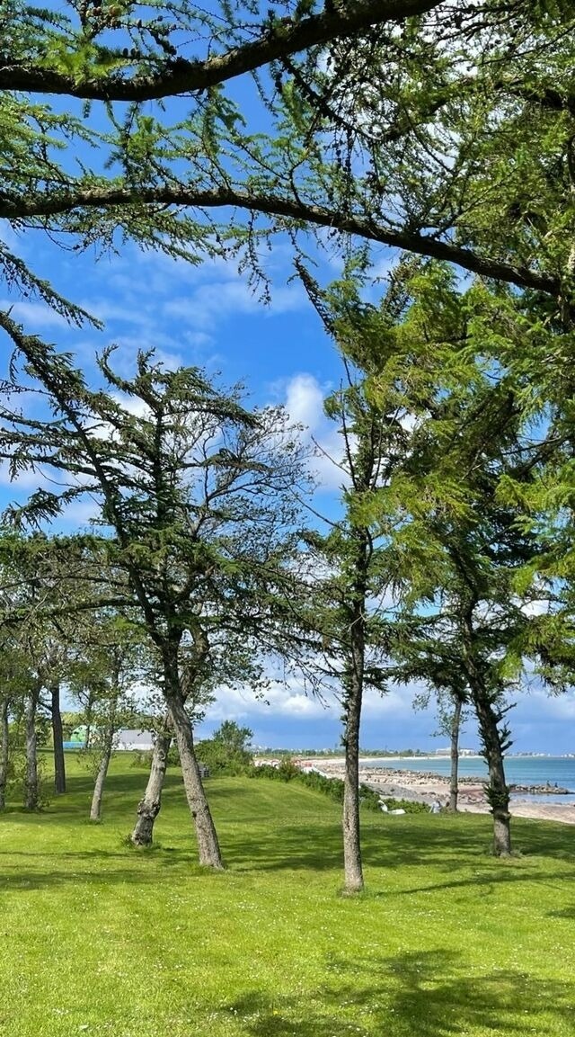 Ferienwohnung in Brodersby - Ferien am Strand, Urlaub an der Ostsee Ferienwohnung am Strand in der Nähe der Schlei, Umgebung von Kappeln u. Damp - Bild 13