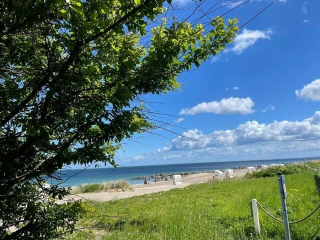 Ferienwohnung in Brodersby - Ferien am Strand, Urlaub an der Ostsee Ferienwohnung am Strand in der Nähe der Schlei, Umgebung von Kappeln u. Damp - Bild 15