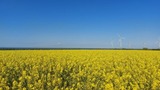 Ferienhaus in Fehmarn OT Presen - Ferienhäuschen Deichliebe auf Fehmarn - Bild 10