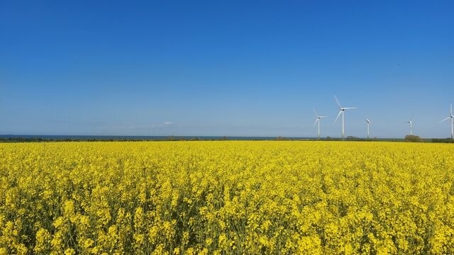 Ferienhaus in Fehmarn OT Presen - Ferienhäuschen Deichliebe auf Fehmarn - Bild 10