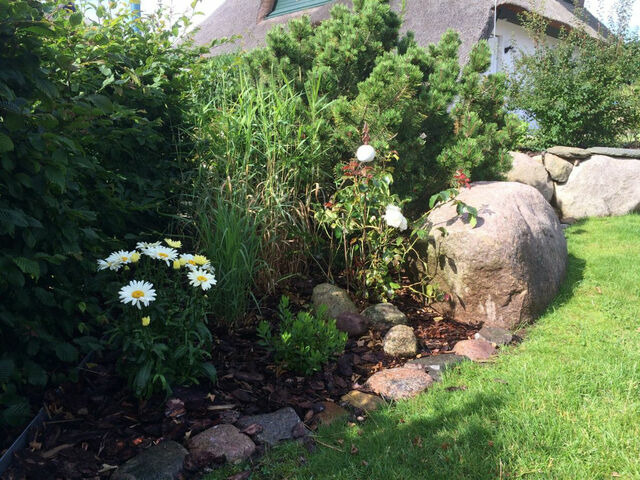 Ferienhaus in Zinnowitz - Binsenkate - Zinnowitz - Bild 17