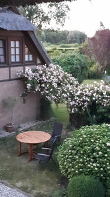 Ferienwohnung in Fuhlendorf - Boddenzauber - Bild 12