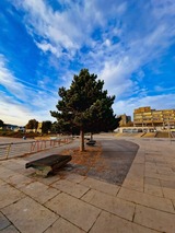 Ferienwohnung in Kiel - Design Appartement Sch&ouml;nfeld - Bild 25