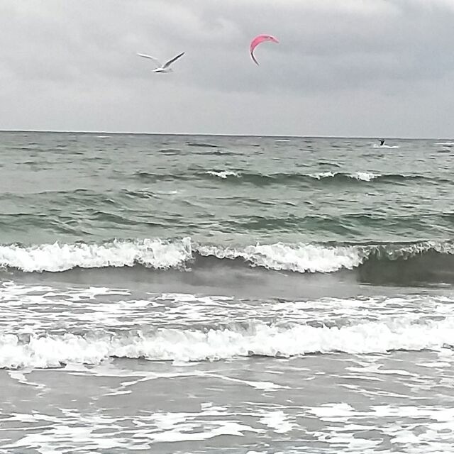 Bungalow in Fehmarn OT Burgtiefe - Strandhaus "D&uuml;ne 55" - Bild 22