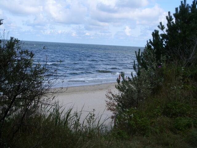Einzelzimmer in Zempin - Ferienzimmer am Walde - Bild 15