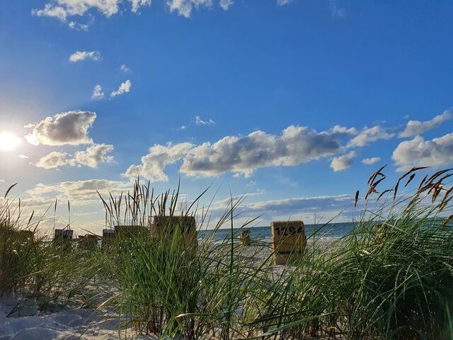 Ferienwohnung in Schönberg - Strandapartment-Kalifornien - Bild 19