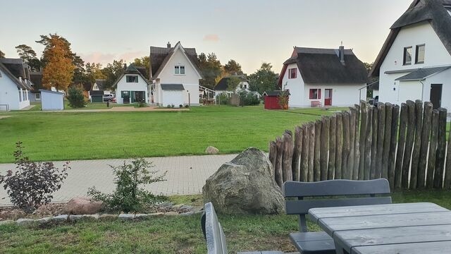 Ferienhaus in Zirchow - Bellis Perennis - Bild 8