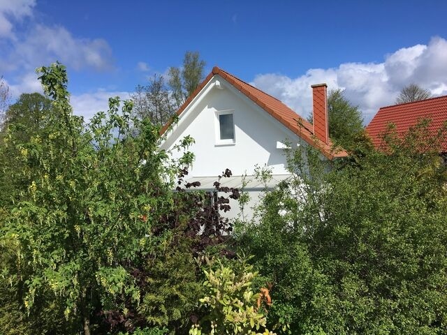 Ferienhaus in Boiensdorf - Ferienhaus am Salzhaff - Bild 9