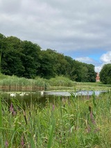 Ferienwohnung in Kalkhorst - Yagos Ostseeoase - Bild 25