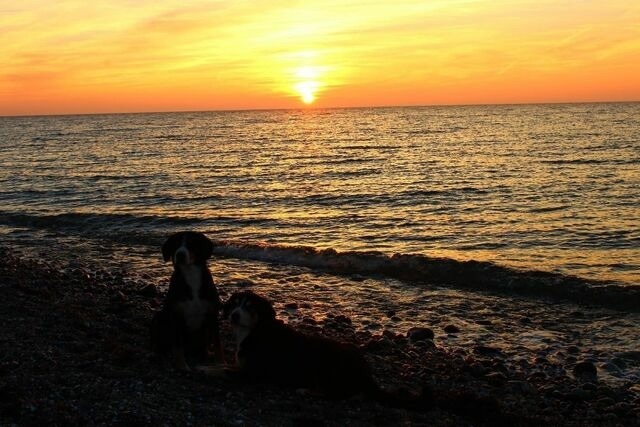 Ferienwohnung in Fehmarn OT Petersdorf - Ferienwohnung Husheer - Bild 18