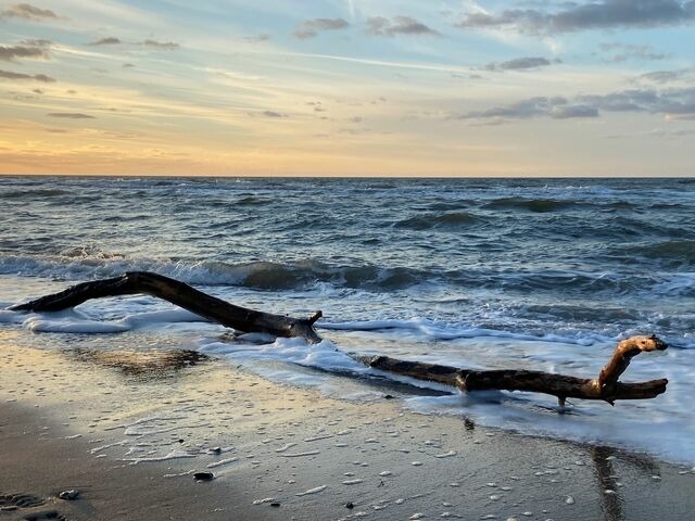 Ferienwohnung in Dierhagen - M&ouml;wennest App. 2 - Bild 22
