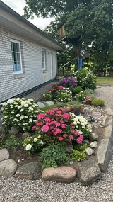 Ferienhaus in Rabenkirchen-Faul&uuml;ck - Ferienhaus Spatz - Bild 18