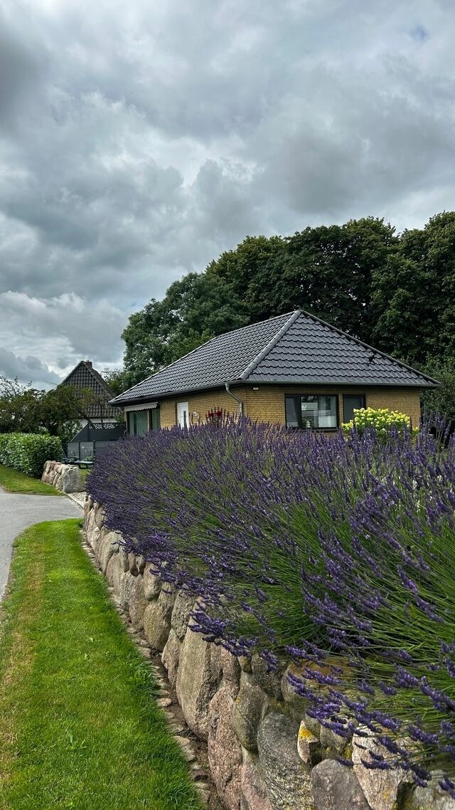 Ferienhaus in Rabenkirchen-Faul&uuml;ck - Ferienhaus Spatz - Bild 19