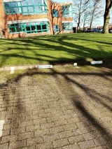 Ferienwohnung in Schleswig - Ferienwohnung in der Stadtvilla - Bild 14