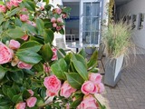 Ferienwohnung in Kappeln - Kappeln 336 - Bild 22