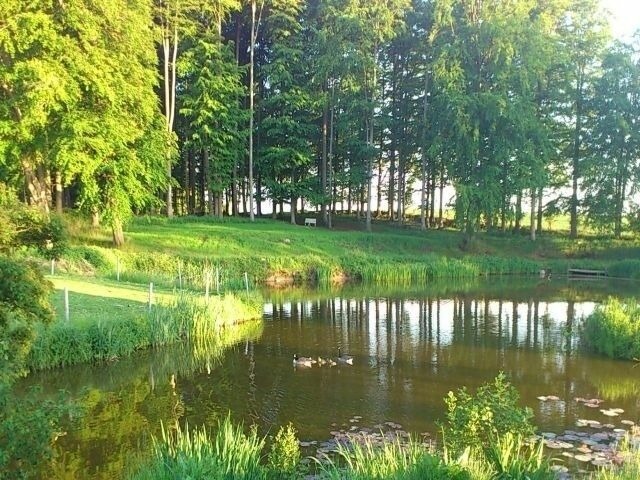 Ferienwohnung in Rieseby - Gut Büchenau - Ferienwohnung Romantika - Bild 21