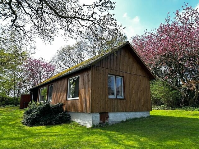 Ferienhaus in Grödersby - Ferienhaus Schleiblick - Bild 24