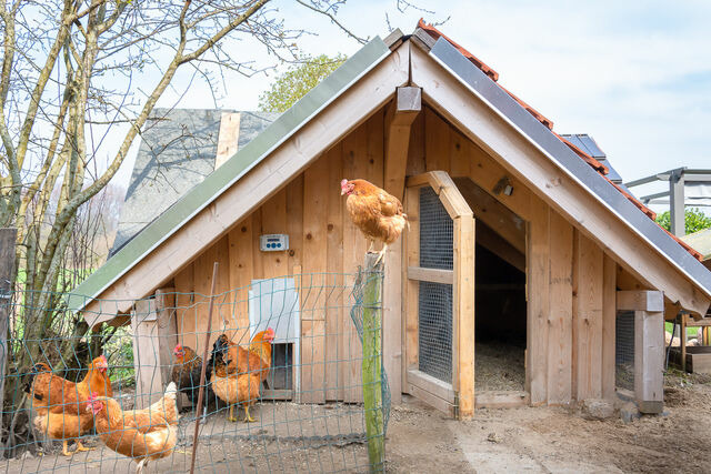 Ferienwohnung in Waabs - Ostseegarten Langholz - Ferienwohnung Spatzennest (bis 4 Pers) - Bild 25