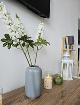 Ferienwohnung in Grömitz - Apartment Stern im von Grömitz - Bild 6