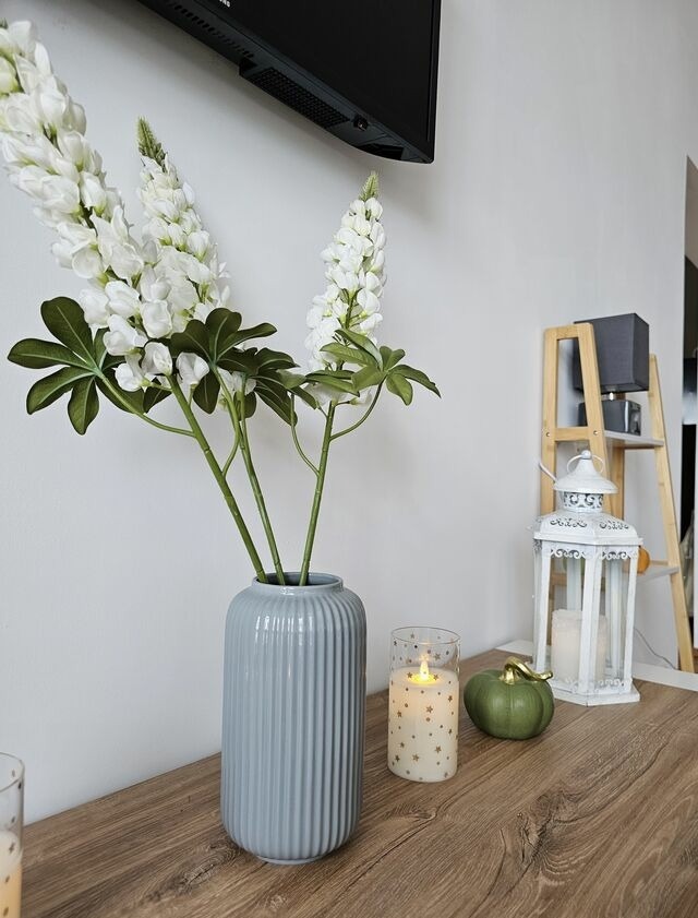 Ferienwohnung in Grömitz - Apartment Stern im von Grömitz - Bild 6