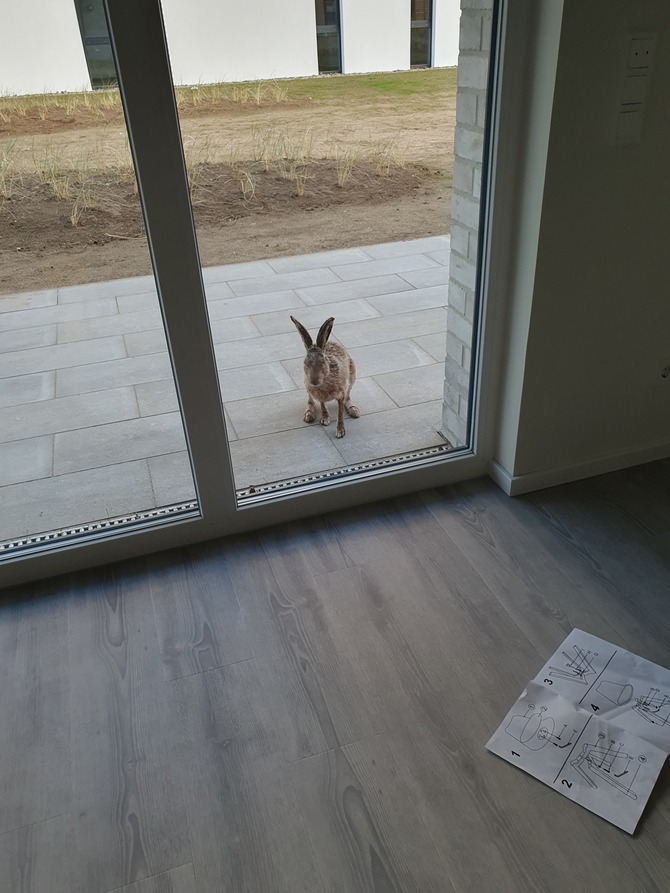 Ferienwohnung in Boltenhagen - Weisse Villen Wohnung 14 - Bild 20