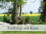 Ferienwohnung in Fehmarn OT Sulsdorf - Hirschfeld Hus Whg 1 - Bild 10