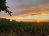Doppelzimmer in Börgerende-Rethwisch - Hus un Köken - 2 - Bild 9