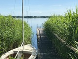 Ferienwohnung in Groß Wittensee - Seepanorama - Bild 14