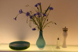 Ferienwohnung in Gelting - Janbecks FAIRhaus - Ferienwohnung Kuhstall - Bild 4