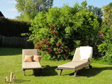 Ferienwohnung in Gelting-Niesgrau - Ferienwohnung Bambuswald Ferienhof Geltinger Bucht - Bild 10