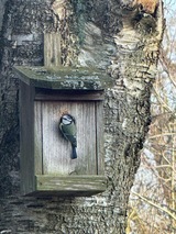 Ferienhaus in Haby - IM BAU Herrmannshof Haby App 5 Grodehus - Bild 8
